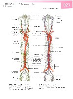 Sobotta Atlas of Human Anatomy  Head,Neck,Upper Limb Volume1 2006, page 34